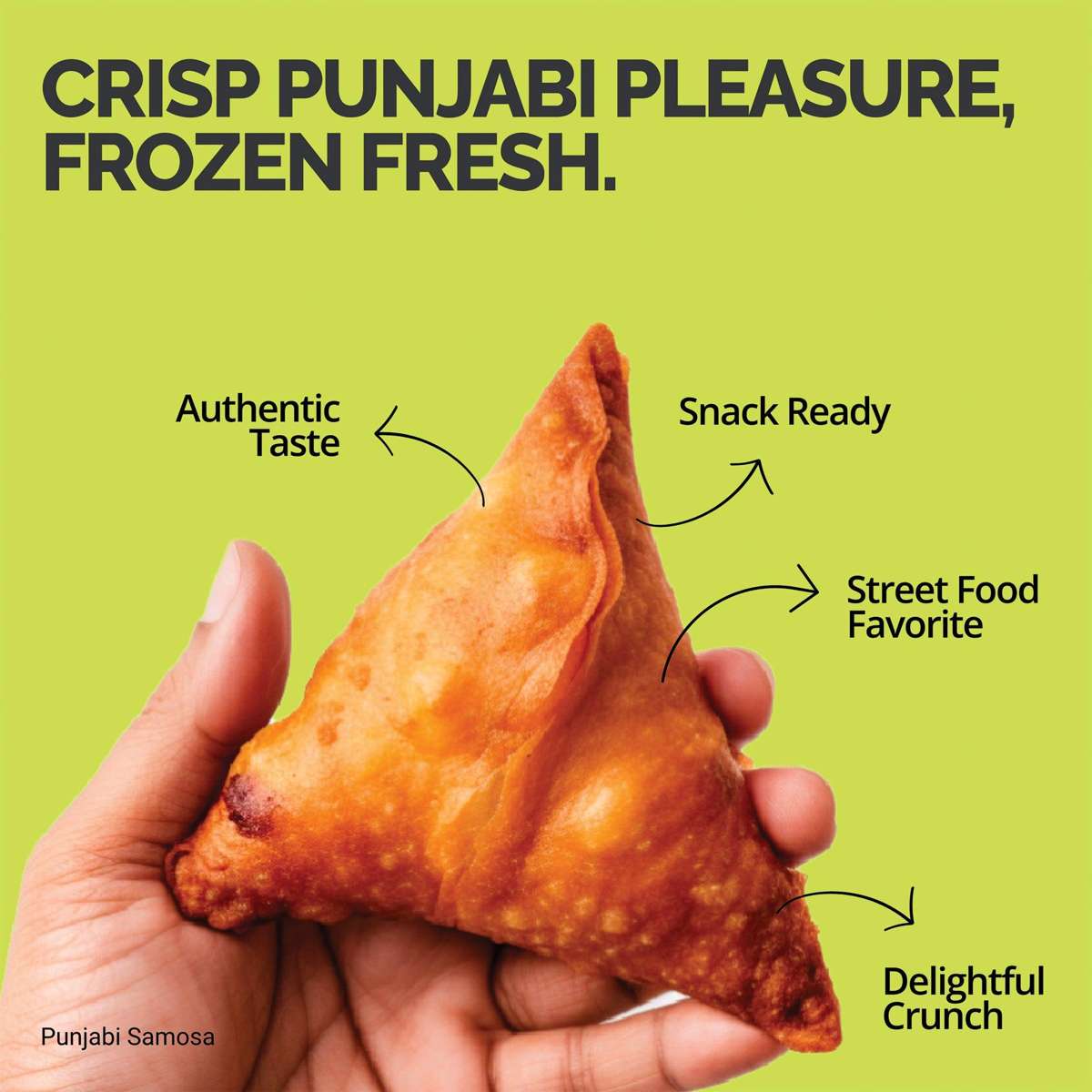 Punjabi Samosa